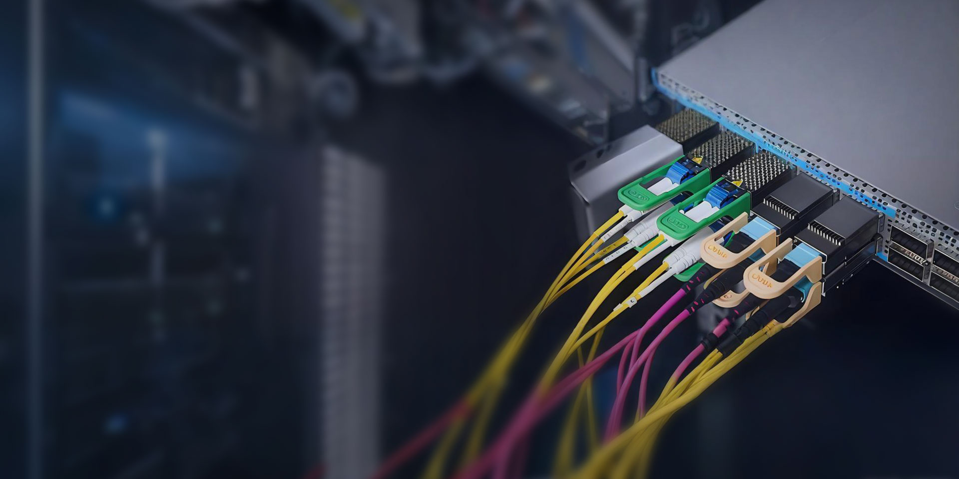 Services & Custom Solutions